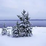 Βίλα Pielislinna