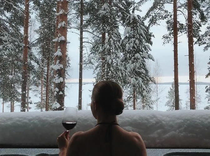 皮里斯里纳别墅 别墅 Kolinkylä