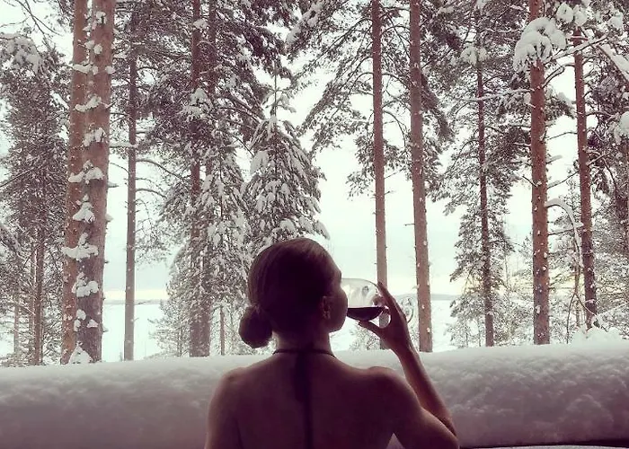 别墅 皮里斯里纳别墅 Kolinkylä